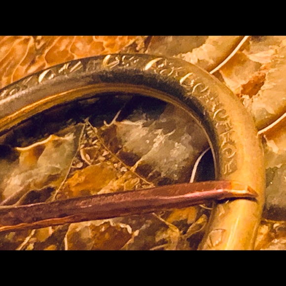 Meet your Posher, Wes - Picture 6 of 8